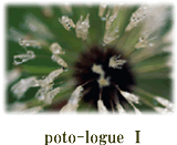 phto-logueI