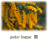 phto-logueIII