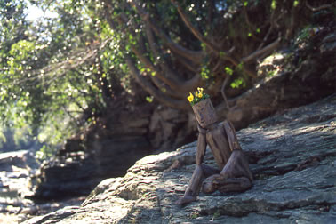 �����ɂ��闝�R(photo)