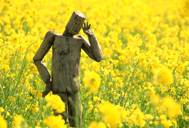 �����₫�iphoto�j