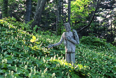 ���̏ꏊ����iphoto�j