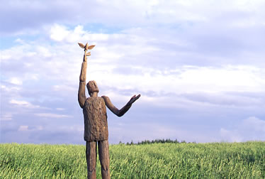 ��-�����-�iphoto�j