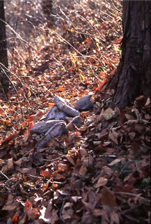 �u���v(photo)