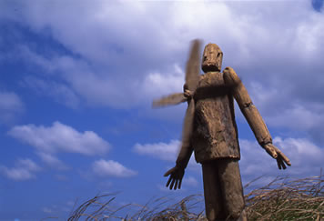 �l�͂Ђ����ɔ��ł���iphoto�j