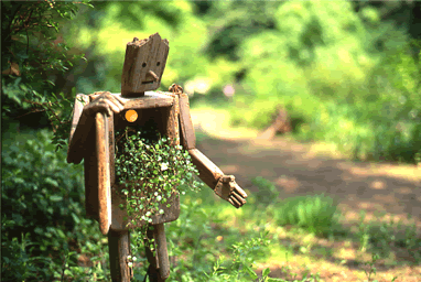 �_���J�K���l���iphoto�j